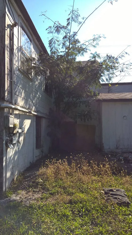 Expert lawn care service for homes in Knoxville, TN by S I C Home Improvements & Landscaping