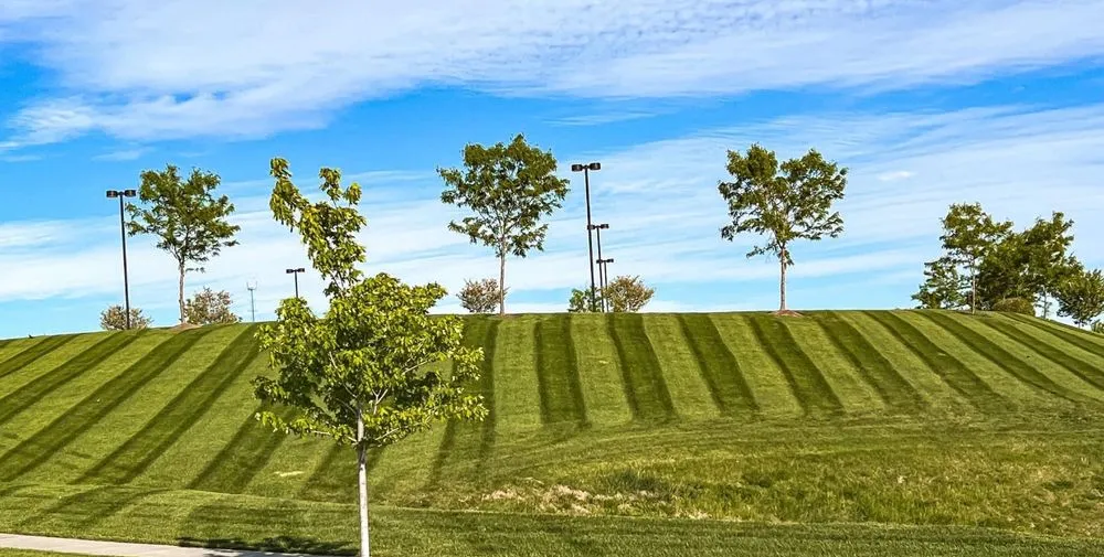 Custom yard maintenance near you in Omaha, NE by S K Lawn Care Maintenance and Services