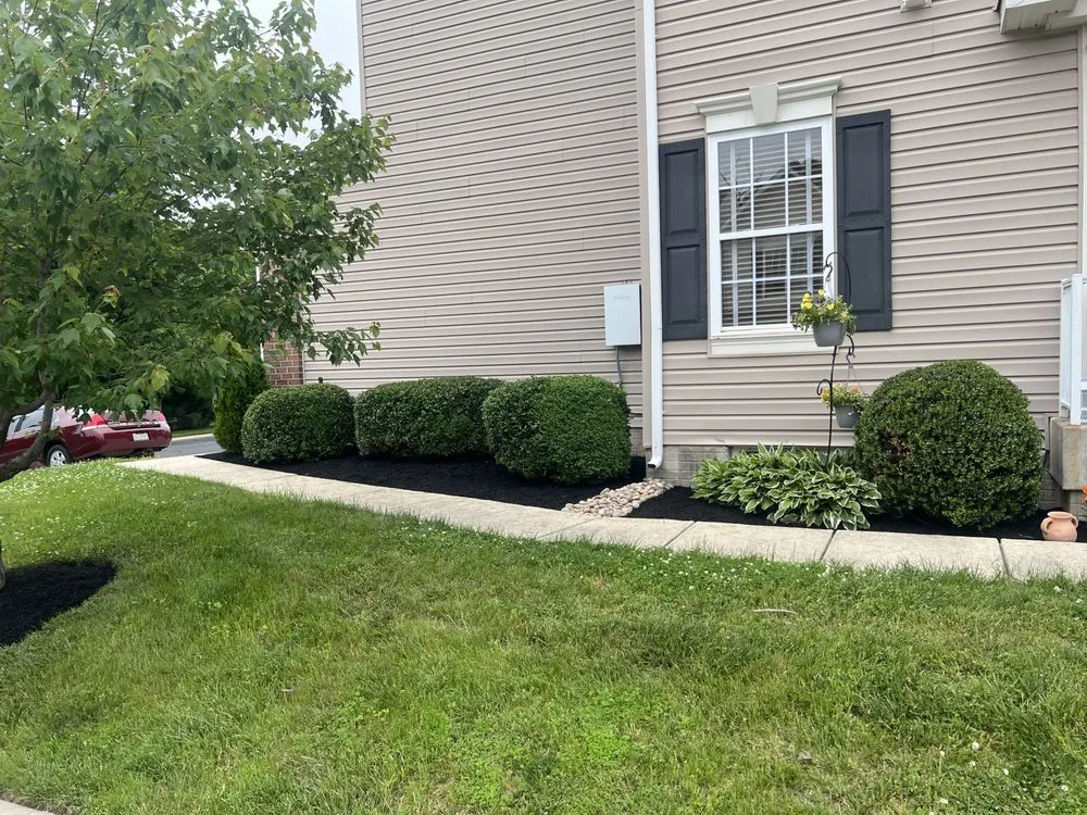 Top-rated yard cleanup service in Abingdon, MD by S K Services