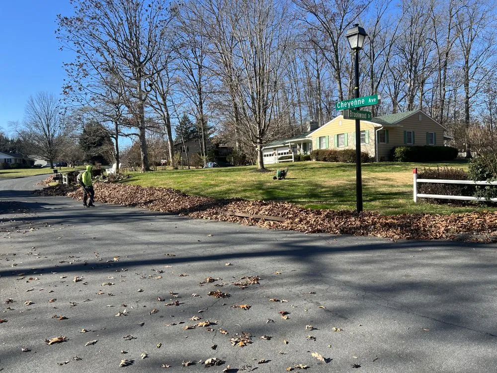 Local yard maintenance experts serving Abingdon, MD - S K Services