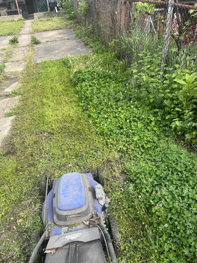 Reliable lawn care service in Jersey City, NJ by S L G Landscaping