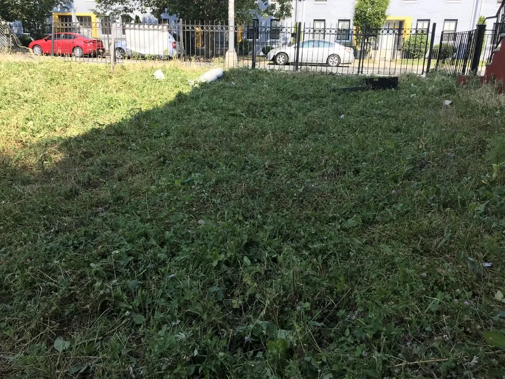 Top-rated yard cleanup service experts serving Jersey City, NJ - S L G Landscaping