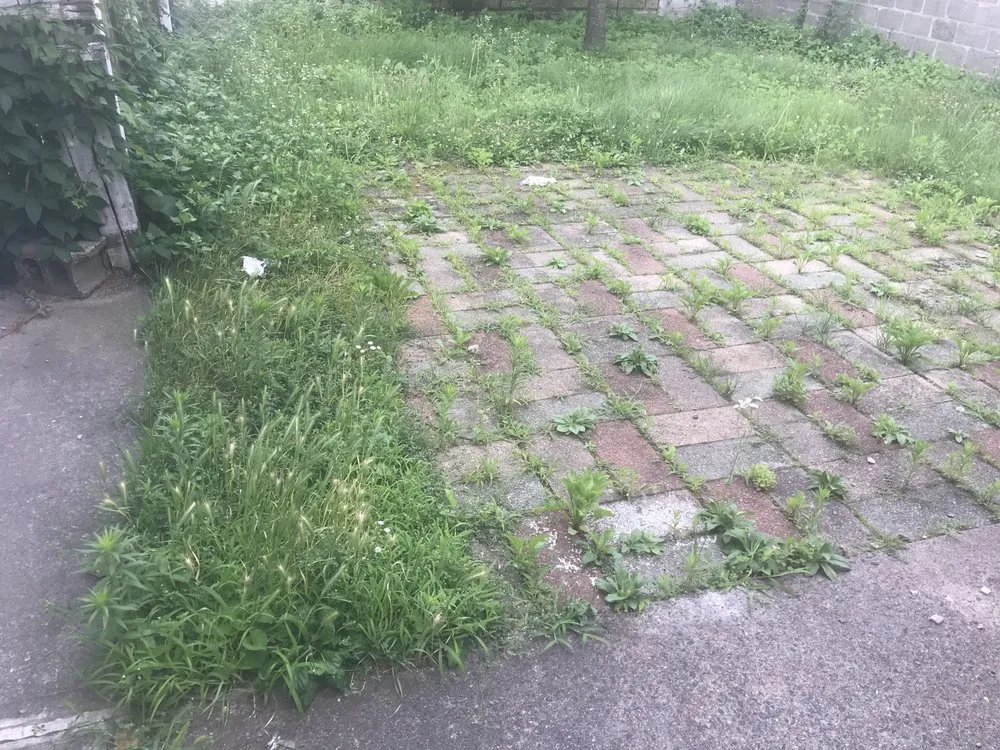 Expert yard maintenance for homes across Jersey City, NJ - S L G Landscaping