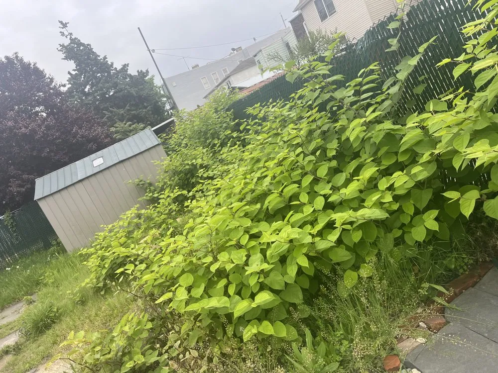 Expert lawn care service in Jersey City, NJ - S L G Landscaping