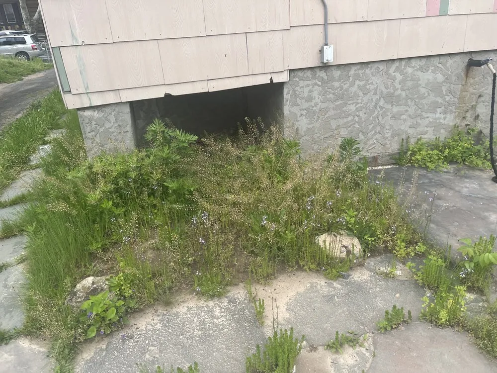 Expert landscape design for beautiful yards in Jersey City, NJ by S L G Landscaping