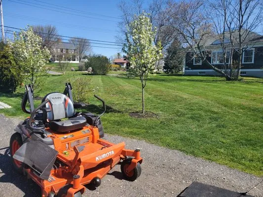 S. Medeiros Lawn & Landscape Logo