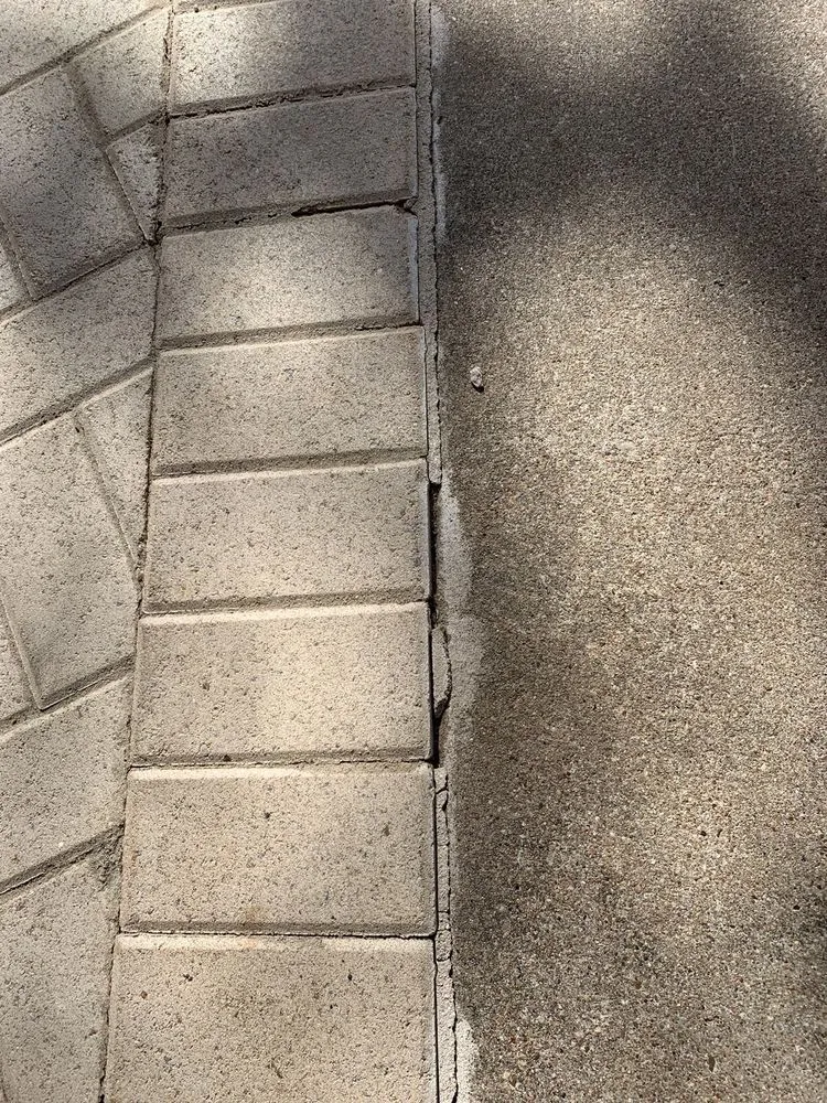 Trusted yard cleanup service near you in Austin, TX by S N Construction