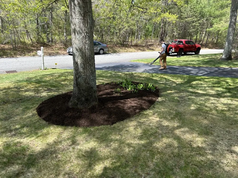 Affordable residential landscaping in Marstons Mills, MA by S N Everything