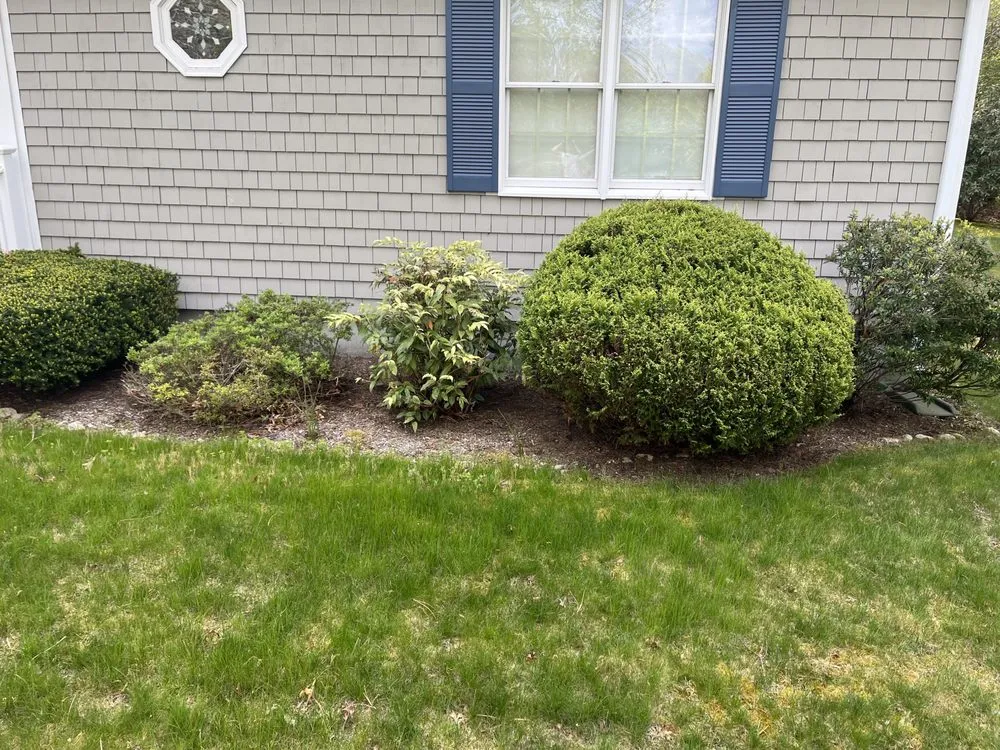 Affordable yard maintenance in Marstons Mills, MA - S N Everything