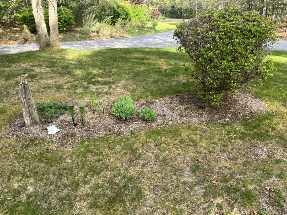 Professional landscape design for year-round maintenance across Marstons Mills, MA - S N Everything