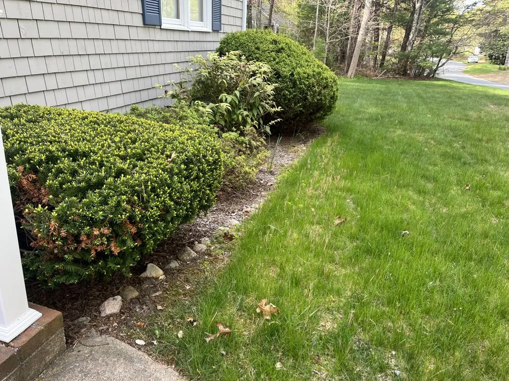 Professional landscape installation experts serving Marstons Mills, MA - S N Everything