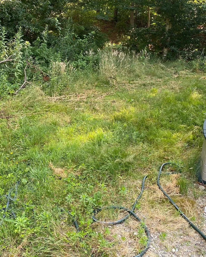 Reliable landscaping services experts serving Marstons Mills, MA - S N Everything