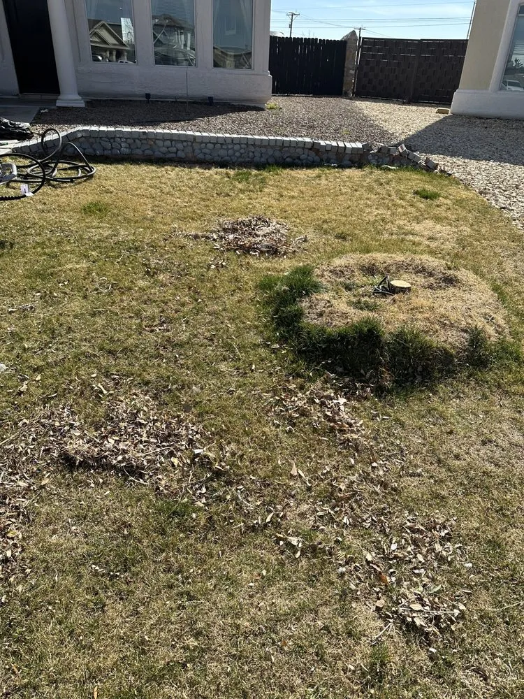 Top-rated yard maintenance for year-round maintenance across El Paso, TX - S O Clean Power Washing & Detailing