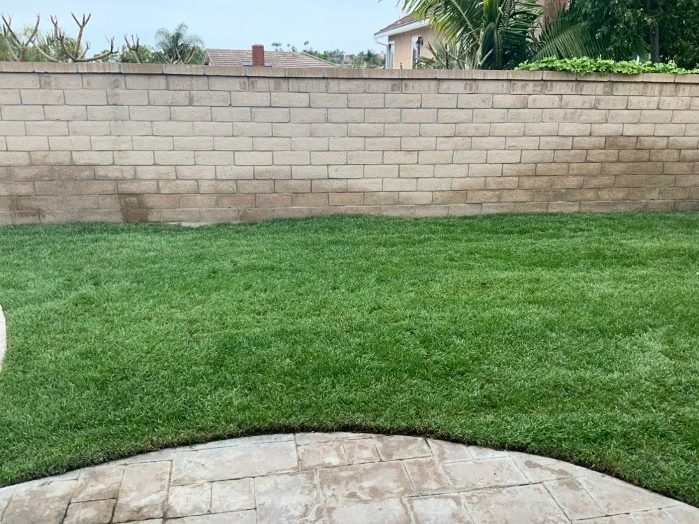 Professional outdoor landscaping for beautiful yards in Anaheim, CA by S O D Farmers