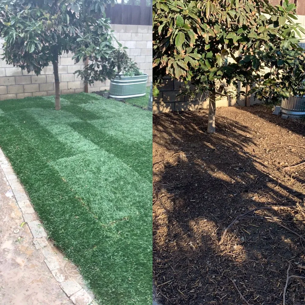 Affordable lawn care service in Anaheim, CA - S O D Farmers