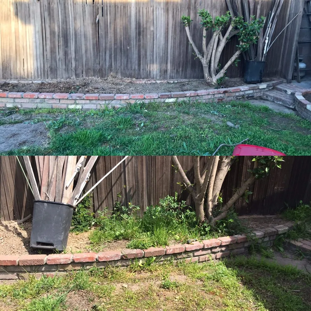 Local garden landscaping for year-round maintenance in Anaheim, CA by S O D Farmers