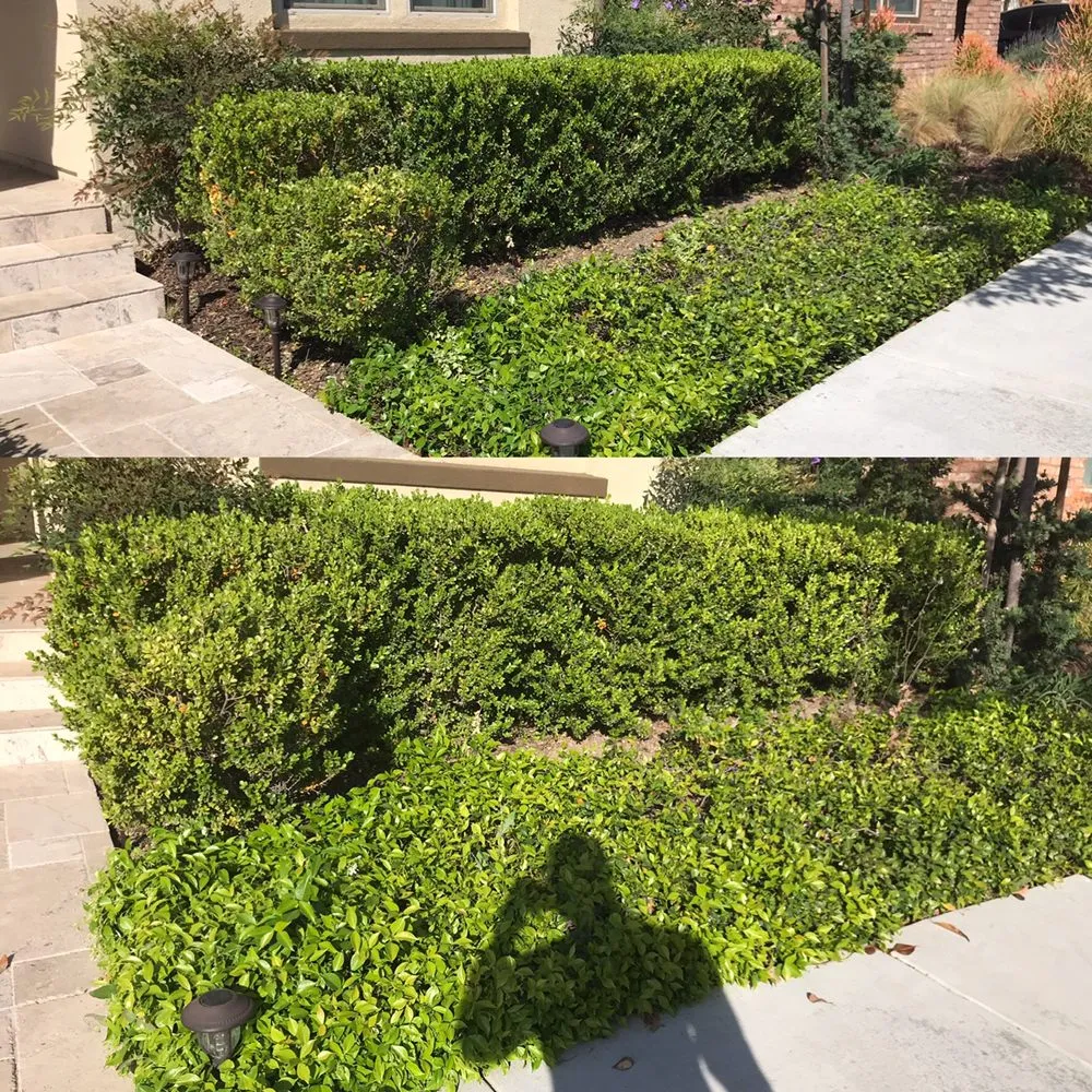 Trusted residential landscaping experts serving Anaheim, CA - S O D Farmers