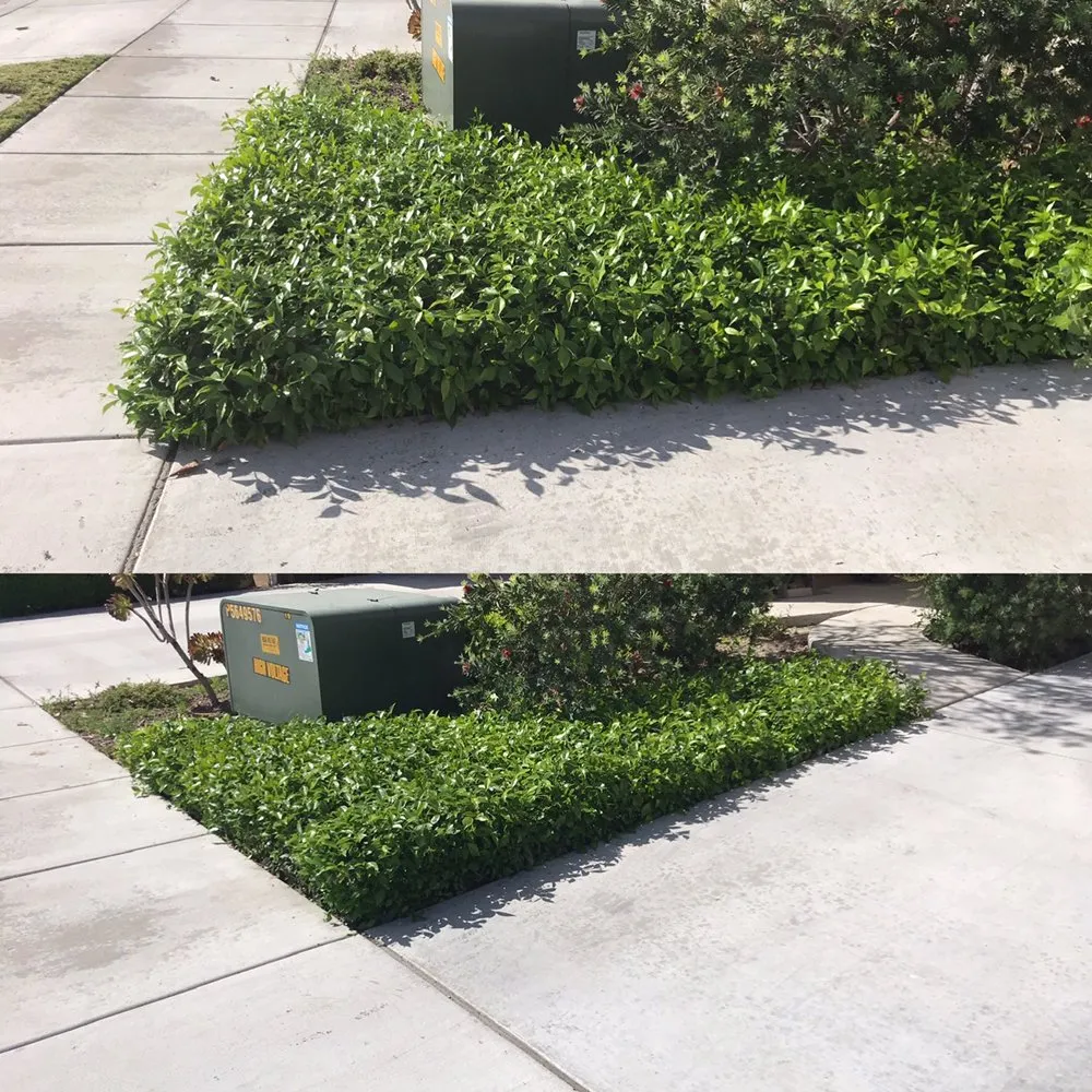 Custom landscape installation near you across Anaheim, CA - S O D Farmers