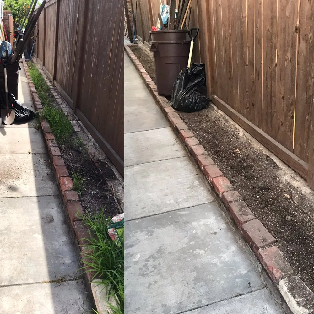 Top-rated outdoor landscaping in Anaheim, CA - S O D Farmers