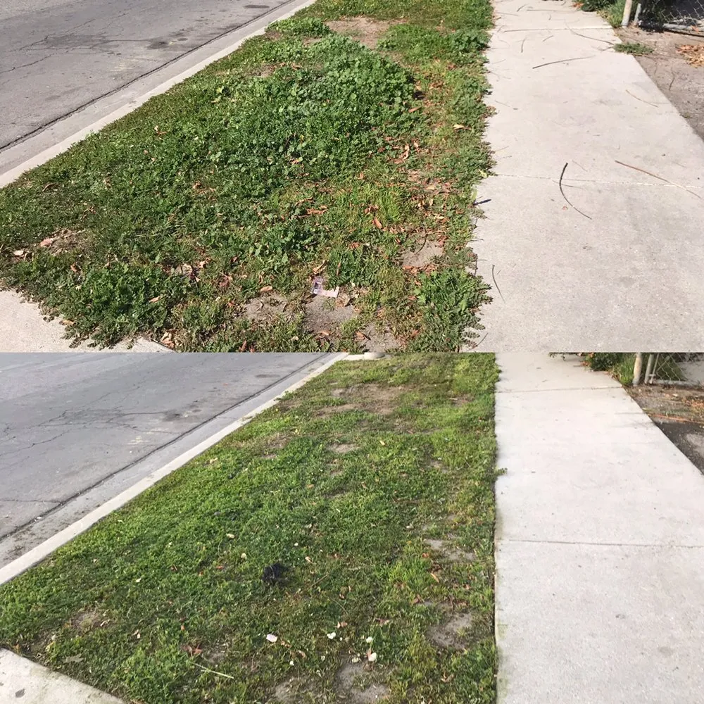 Trusted residential landscaping in Anaheim, CA - S O D Farmers