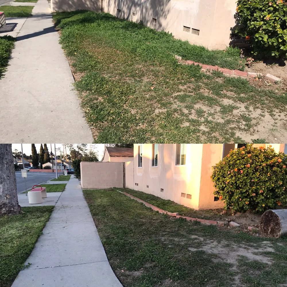 Custom yard maintenance in Anaheim, CA by S O D Farmers