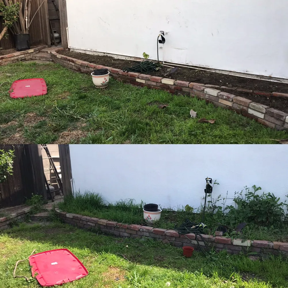 Custom residential landscaping in Anaheim, CA - S O D Farmers