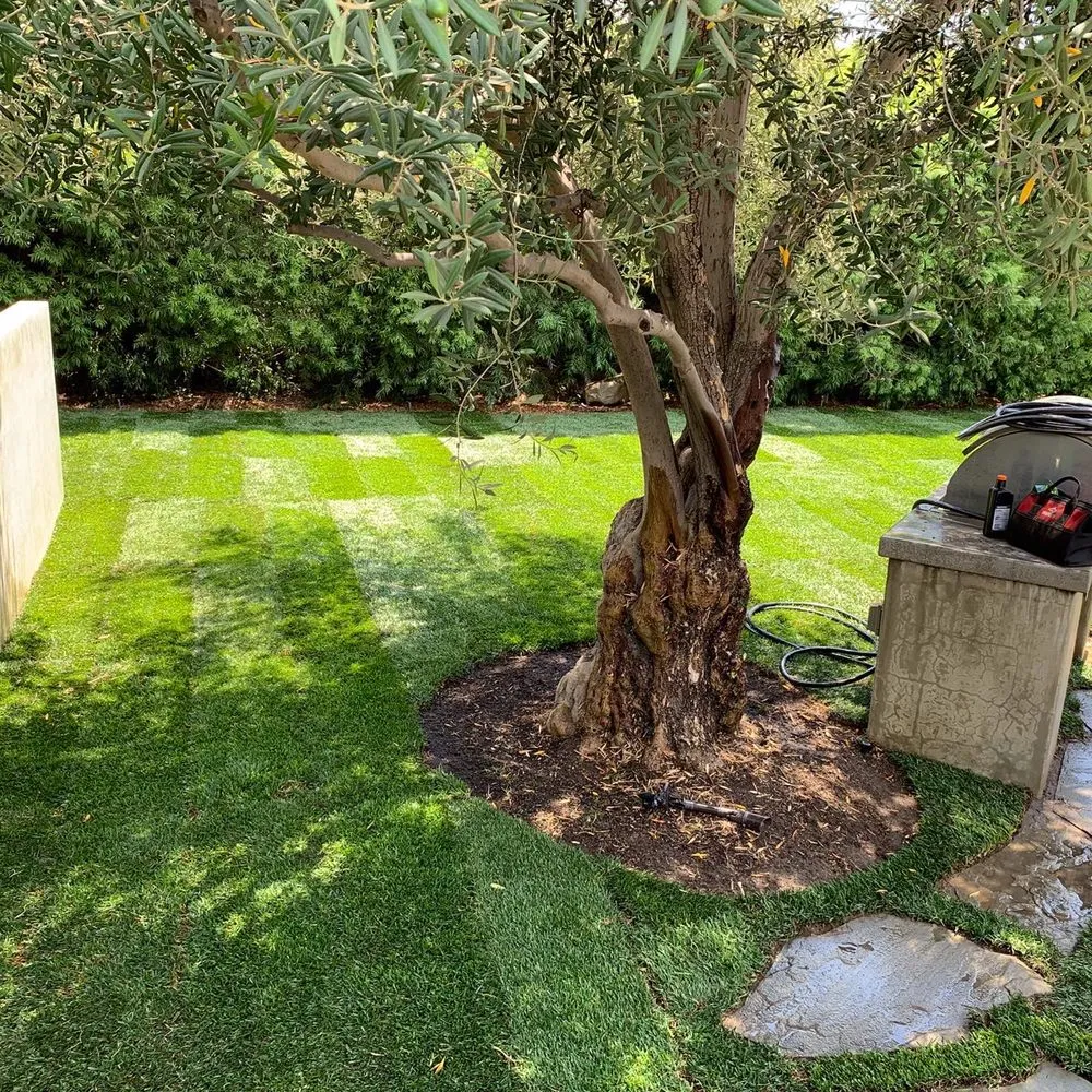 Top-rated garden landscaping for beautiful yards in Anaheim, CA by S O D Farmers