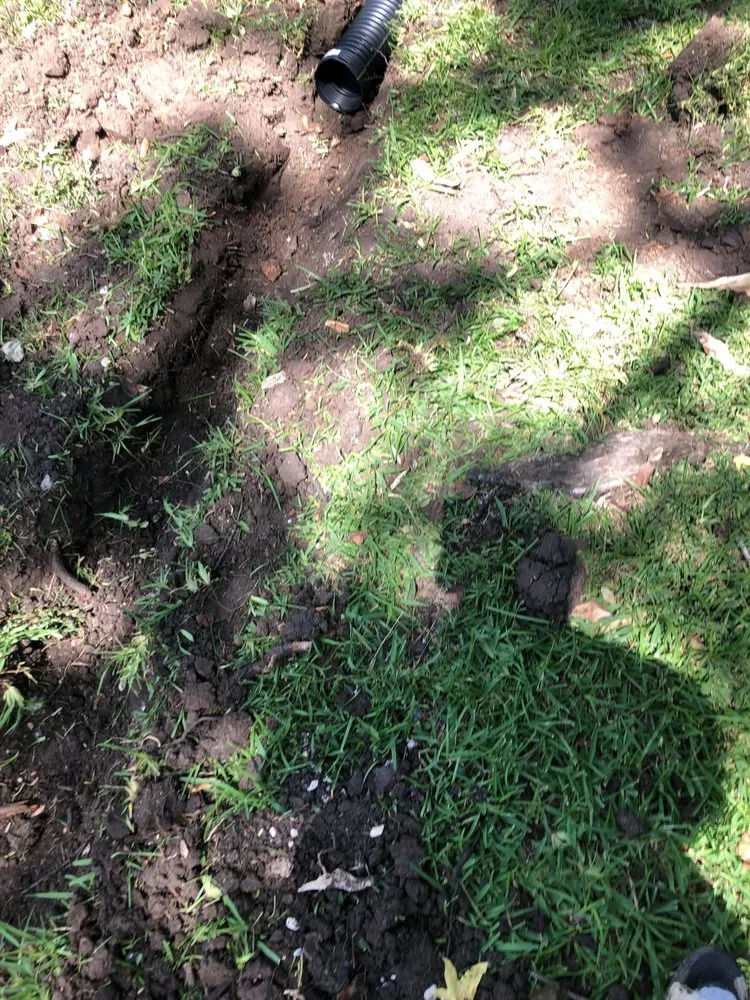 Professional landscaping services experts serving Houston, TX - S O Marquinez Landscaping