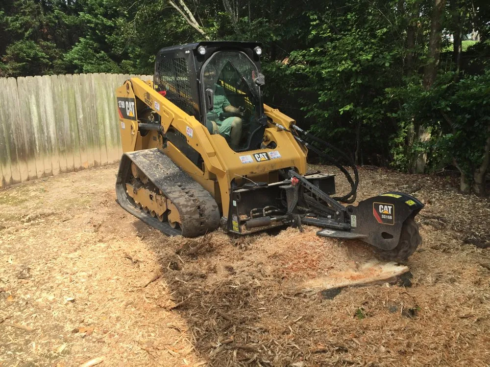 Professional yard cleanup service in Alpharetta, GA - S O S Job Needs