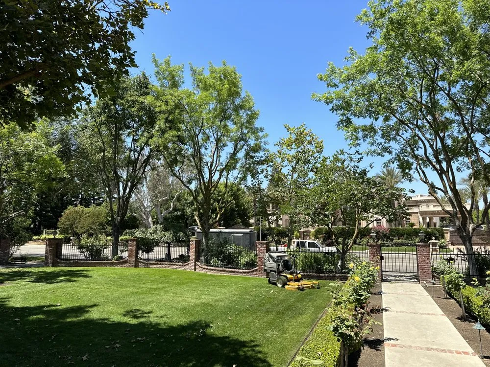 Trusted outdoor landscaping for homes in Selma, CA by S Reyes Lawn Service