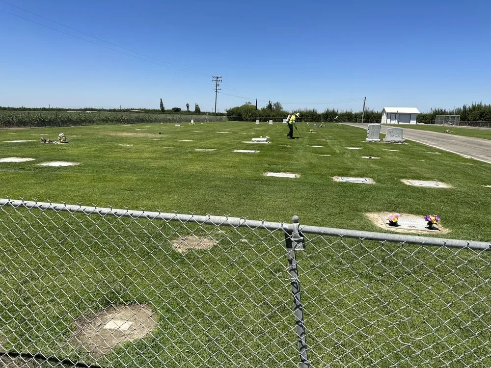 Trusted yard cleanup service experts serving Selma, CA - S Reyes Lawn Service