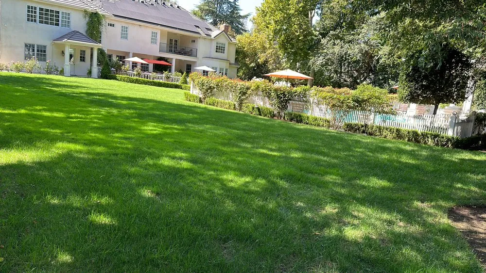 Local yard cleanup service in Selma, CA - S Reyes Lawn Service