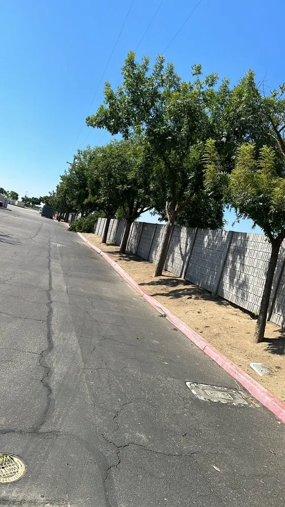 Top-rated residential landscaping for homes in Selma, CA by S Reyes Lawn Service