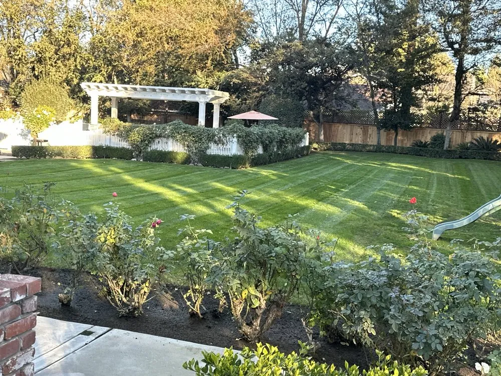 Trusted garden landscaping experts serving Selma, CA - S Reyes Lawn Service