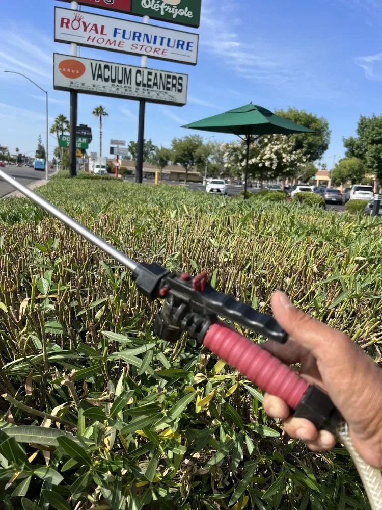 Custom garden landscaping for homes in Selma, CA by S Reyes Lawn Service