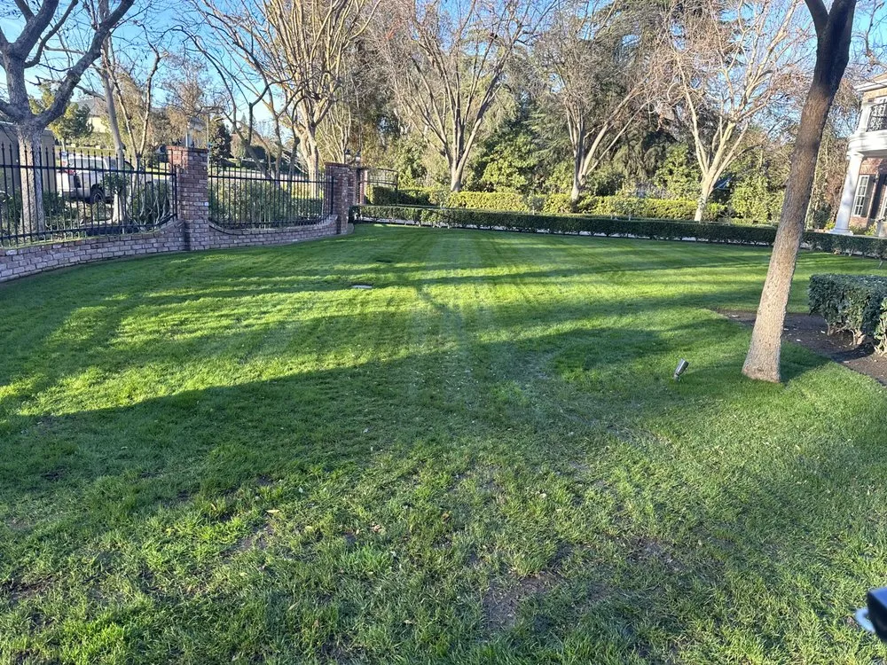 Professional landscape design in Selma, CA - S Reyes Lawn Service