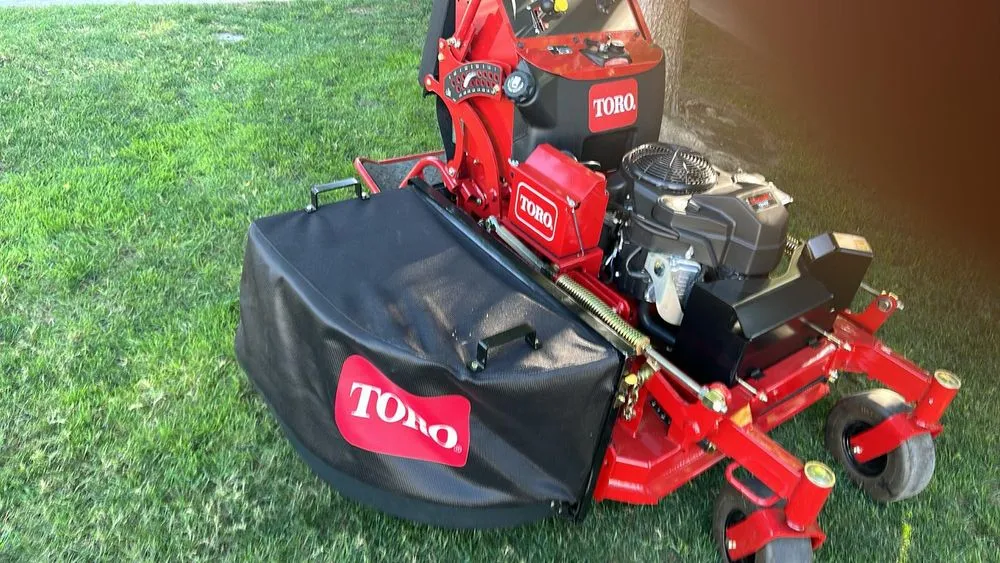 Trusted yard cleanup service in Selma, CA by S Reyes Lawn Service