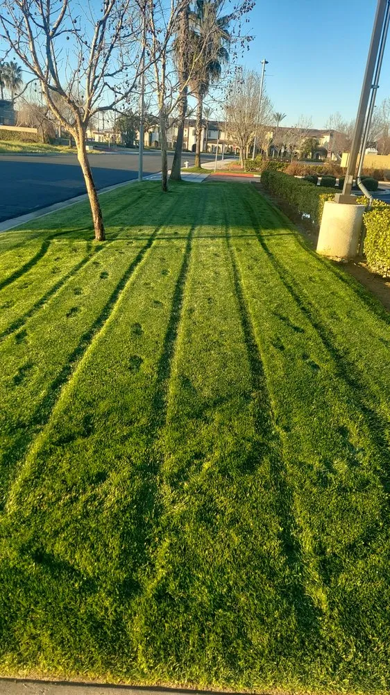Professional landscape installation for outdoor upgrades in Selma, CA by S Reyes Lawn Service