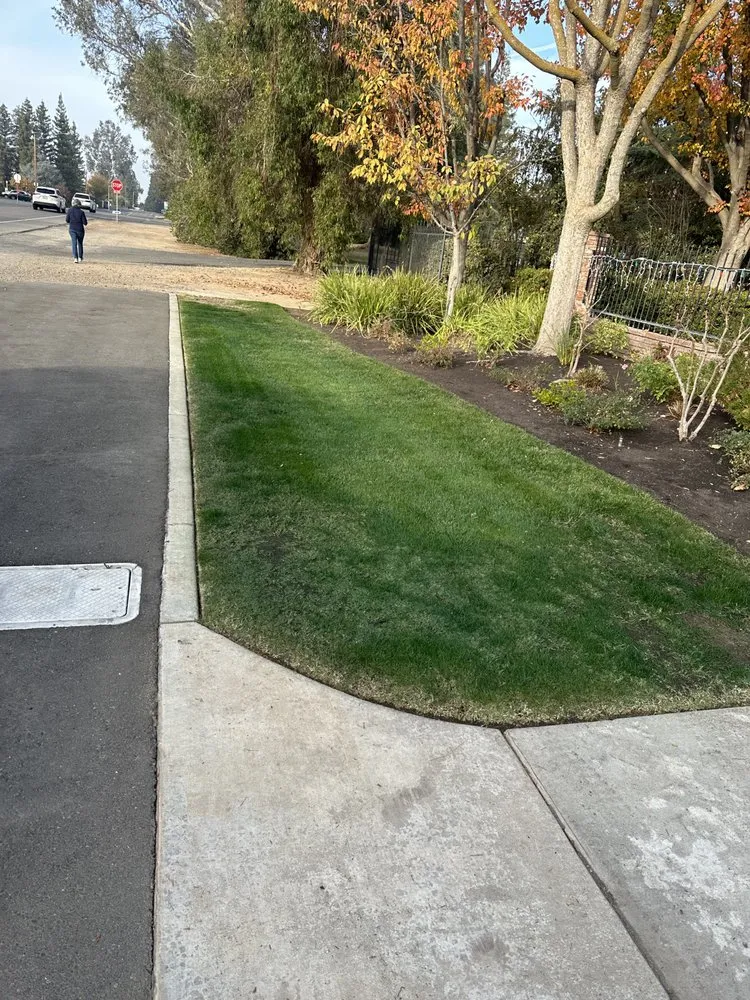 Professional outdoor landscaping in Selma, CA by S Reyes Lawn Service