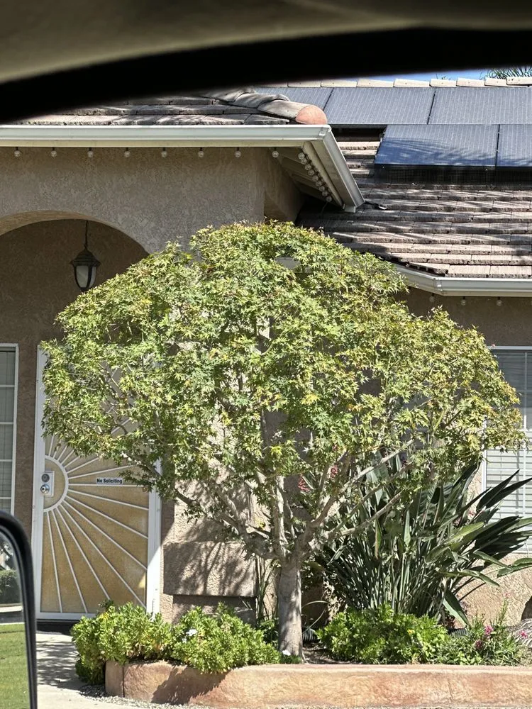 Local lawn care service with custom design in Selma, CA by S Reyes Lawn Service