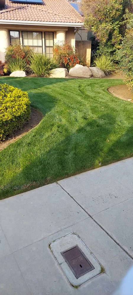 Custom outdoor landscaping for outdoor upgrades in Selma, CA by S Reyes Lawn Service