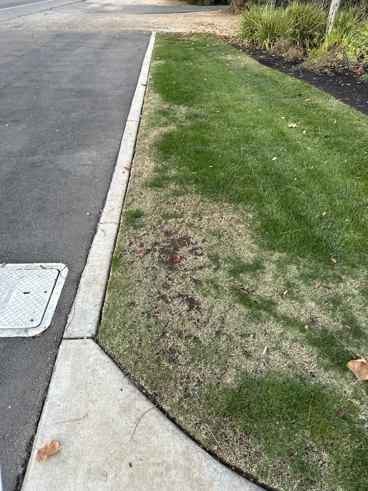 Expert landscape design experts serving Selma, CA - S Reyes Lawn Service