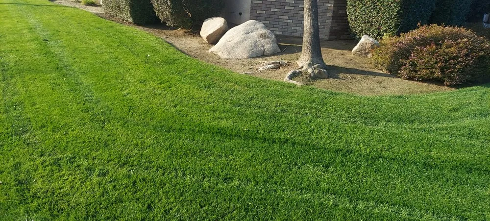 Trusted landscape design experts serving Selma, CA - S Reyes Lawn Service