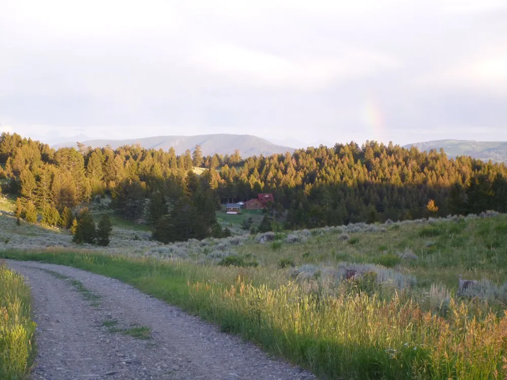 Trusted yard maintenance for beautiful yards across Livingston, MT - S T H - Seed Time Harvest