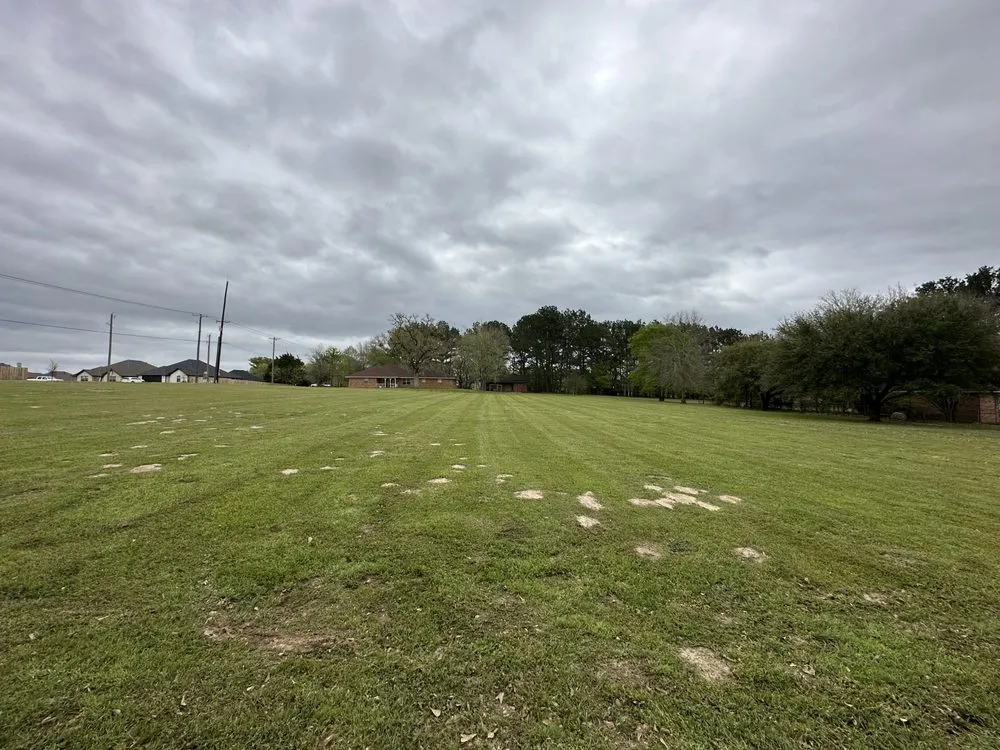 Affordable yard cleanup service in Flint, TX by S T Lawn Care