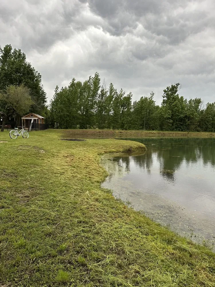 Reliable yard maintenance experts serving Flint, TX - S T Lawn Care