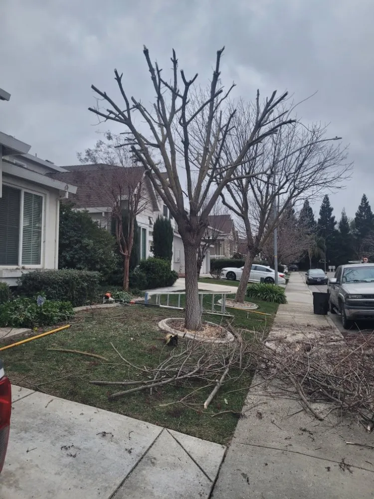 Custom landscape installation in Tracy, CA - S V Gardening Service