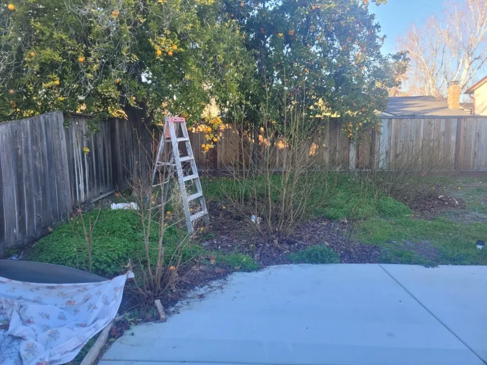 Expert yard maintenance for residential properties in Tracy, CA by S V Gardening Service