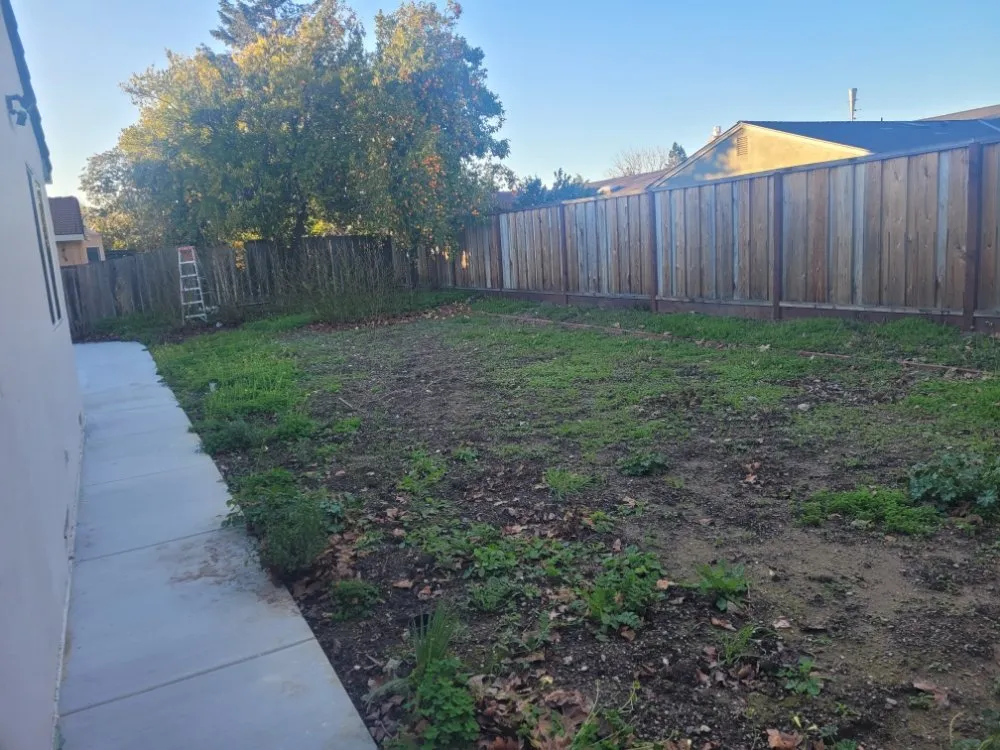 Expert lawn mowing service for residential properties across Tracy, CA - S V Gardening Service