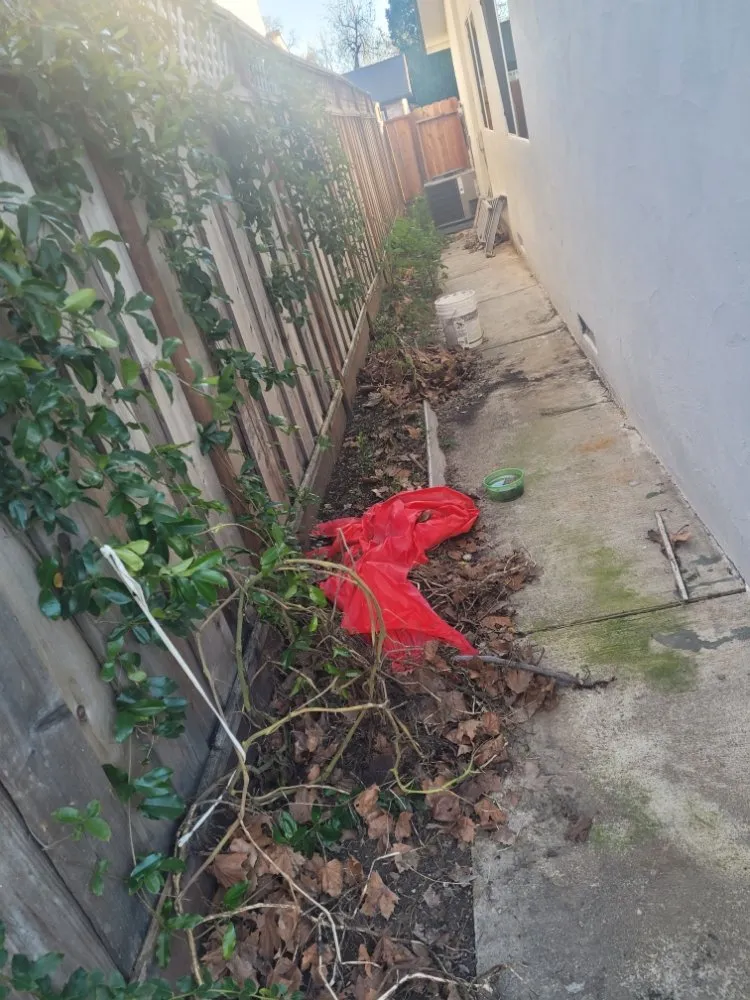 Local lawn mowing service for outdoor upgrades in Tracy, CA by S V Gardening Service